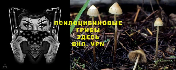 MDMA Беломорск