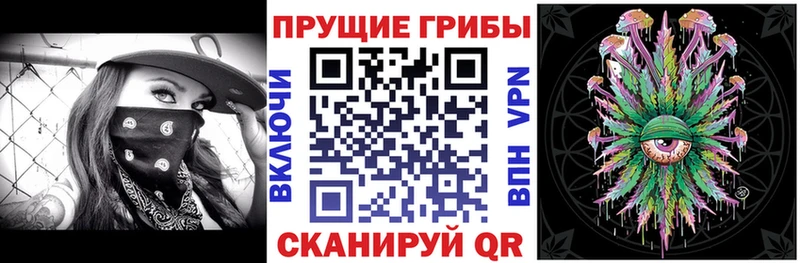 Галлюциногенные грибы GOLDEN TEACHER  Бузулук 